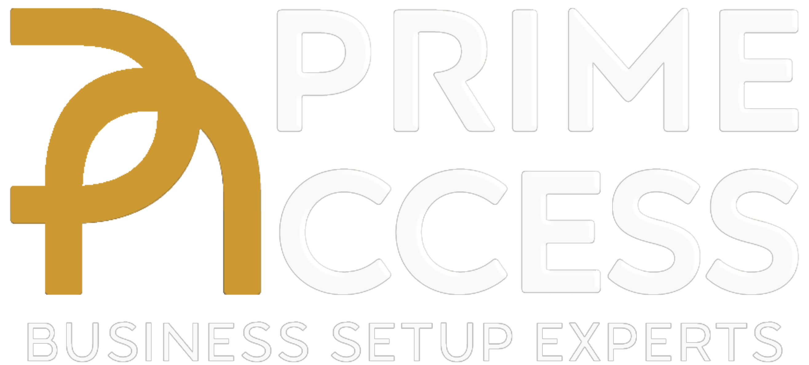 Prime Access Logo White